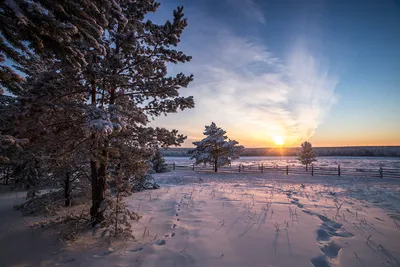 Морозные краски: Фотографии зимнего Якутска