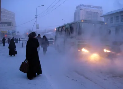 Зимняя сказка в каждом кадре: Фотоальбом города