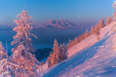Якутск в сиянии снега: Фотографии зимней природы