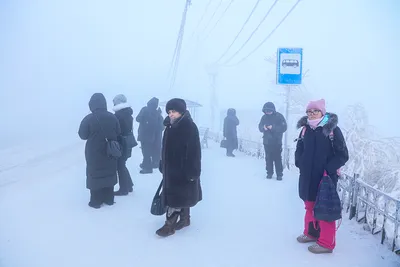 Зимние гармонии: Якутск в объективе фотографа
