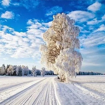 Фотоискусство зимнего Якутска: Ледяные пейзажи