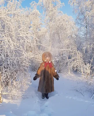 Якутск в морозных объятиях: Фотоальбом зимы