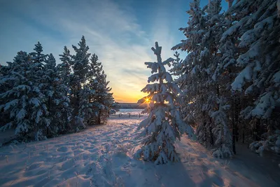 Ледяные чудеса: Фотографии зимы в Якутске