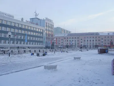 Зимний фотопарад: Лучшие моменты года