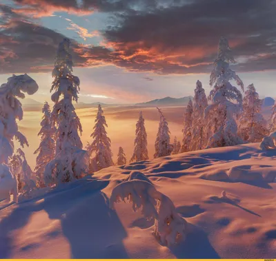 Фотографии зимней природы Якутска: Кристальные картины