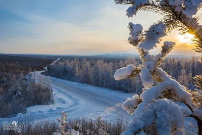 Зимние радуги: Фотоальбом Якутска