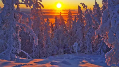 Зимний колорит Якутска: Фотографии природы