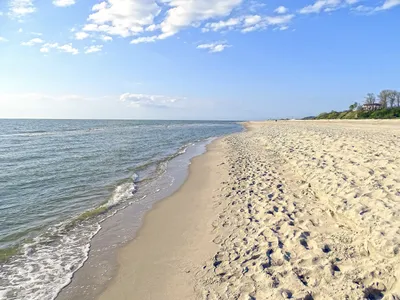 Картинки Янтарного пляжа: скачать бесплатно