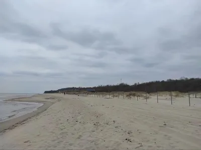 Изображения пляжа Янтарный в формате JPG