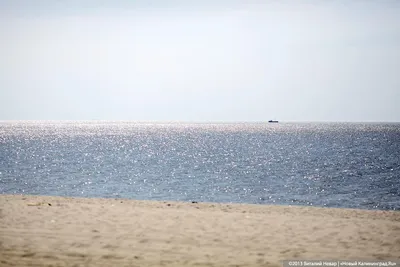 Фотографии пляжа Янтарный с видом на Калининград