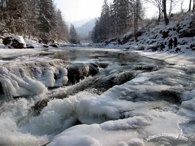 Волшебство зимнего света: Фотографии Яремчи