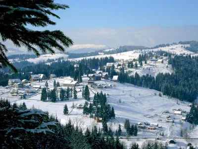 Зимняя сказка в горах: Фотографии Яремче в высоком разрешении (JPG)