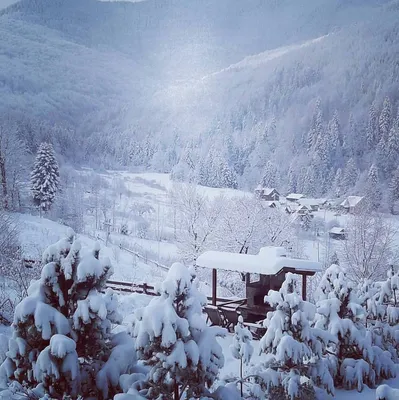 Очарование зимнего курорта: Скачать красочные изображения Яремче (WebP)