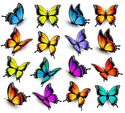 Яркие бабочки в формате JPG