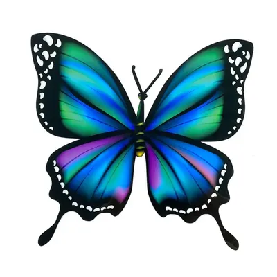 Скачать бесплатные фото ярких бабочек