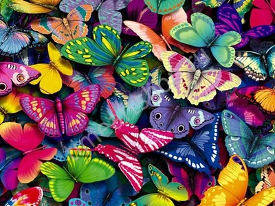 Фотографии разнообразных бабочек