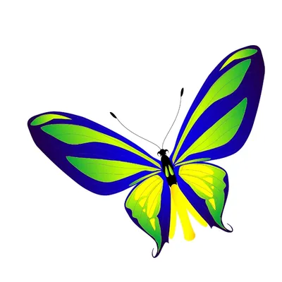 Красочные изображения бабочек для загрузки