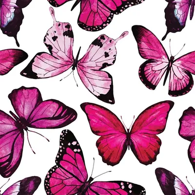 Фотографии красивых бабочек в формате PNG