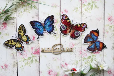 Фотографии, демонстрирующие красоту бабочек