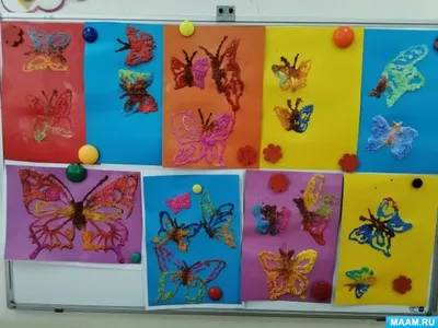 Картинки красивых бабочек различных видов