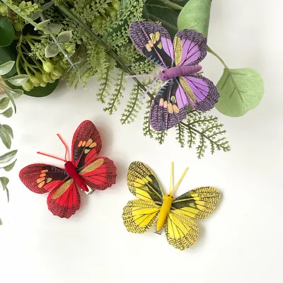 Изображения бабочек разного размера для скачивания