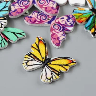 Уникальные фотографии бабочек разных видов
