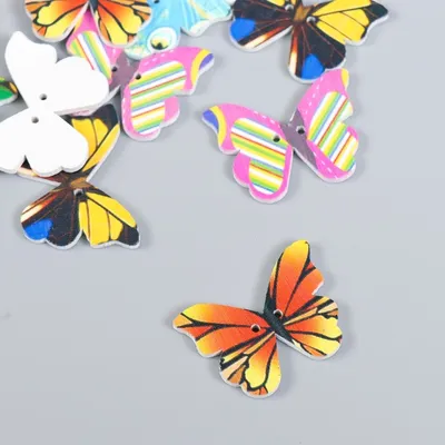 Бесплатные фото ярких бабочек для выбора