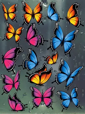 Удивительные фотографии красивых бабочек