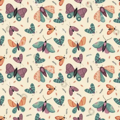 Фото бабочек в разных форматах