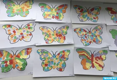 Изображения бабочек в различных размерах для загрузки