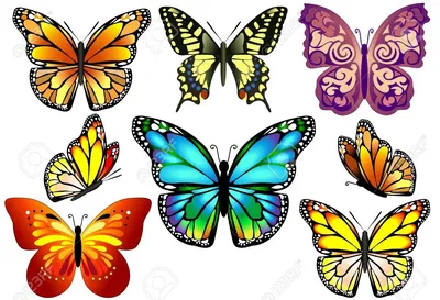 Увлекательная коллекция бабочек на фото
