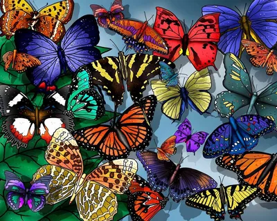 Яркие изображения бабочек для свободного скачивания