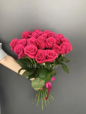Впечатляющие изображения ярко розовых роз