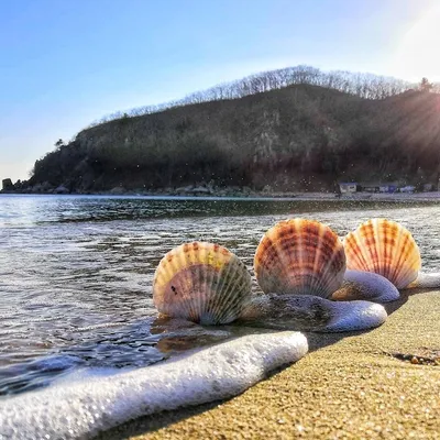 Скачать фото Яванского моря бесплатно: вдохновение рядом с вами.