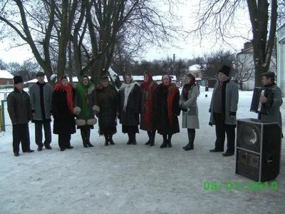 Фото Яворина дерева: путешествие сквозь время и природу.