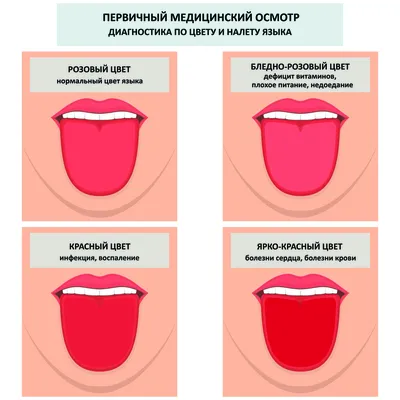 Свежий взгляд на общение: Фотографии Языка