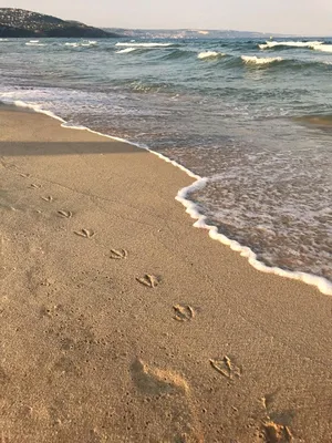 Ваше морское приключение в Instagram - идеи для фото, которые вдохновят вас