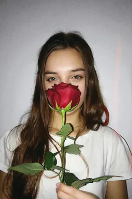 Фото розы: пленительные оттенки