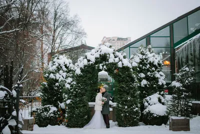 Фотографии свадебных мечтаний под зимним небом