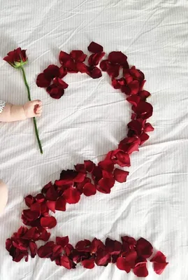 Лепестковая фантазия: фото идеи с розами для вашей креативности