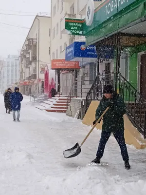 Снежная симфония: зимние зарисовки на фото