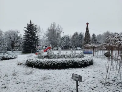 Фотография зимнего волшебства: снежные хрустальные дни