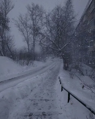 Снег во всей красе: бесплатные картинки в хорошем качестве.