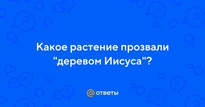 Фон с Иисусовым деревом для дизайна