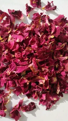 Фото Индийской розы: чудо природы в каждом пикселе