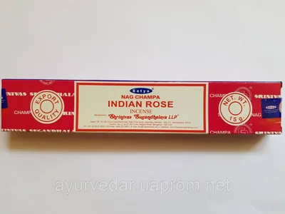 Индийская роза: удивительное изображение на твоем экране