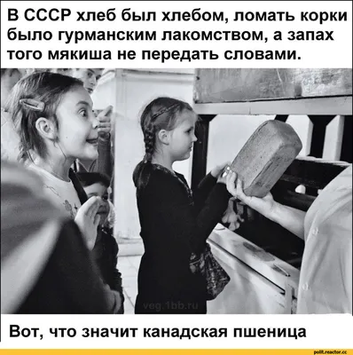 Фотографии, которые передают смысл и эмоции