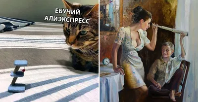 Фотографии смешных ситуаций - JPG