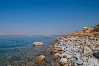 Экзотика Красного моря: уникальные фото из Иордании