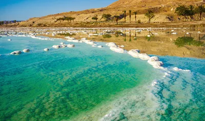 Удивительные цвета и формы под водой Красного моря в Иордании